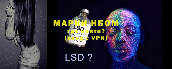 PSILOCYBIN Абдулино