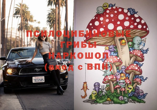 PSILOCYBIN Абдулино