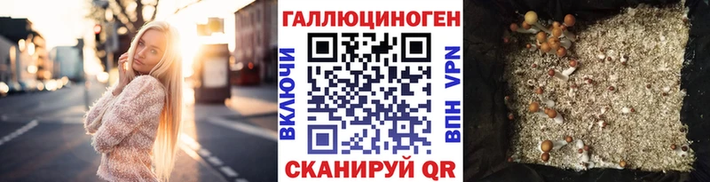 Псилоцибиновые грибы GOLDEN TEACHER  наркотики  Симферополь 