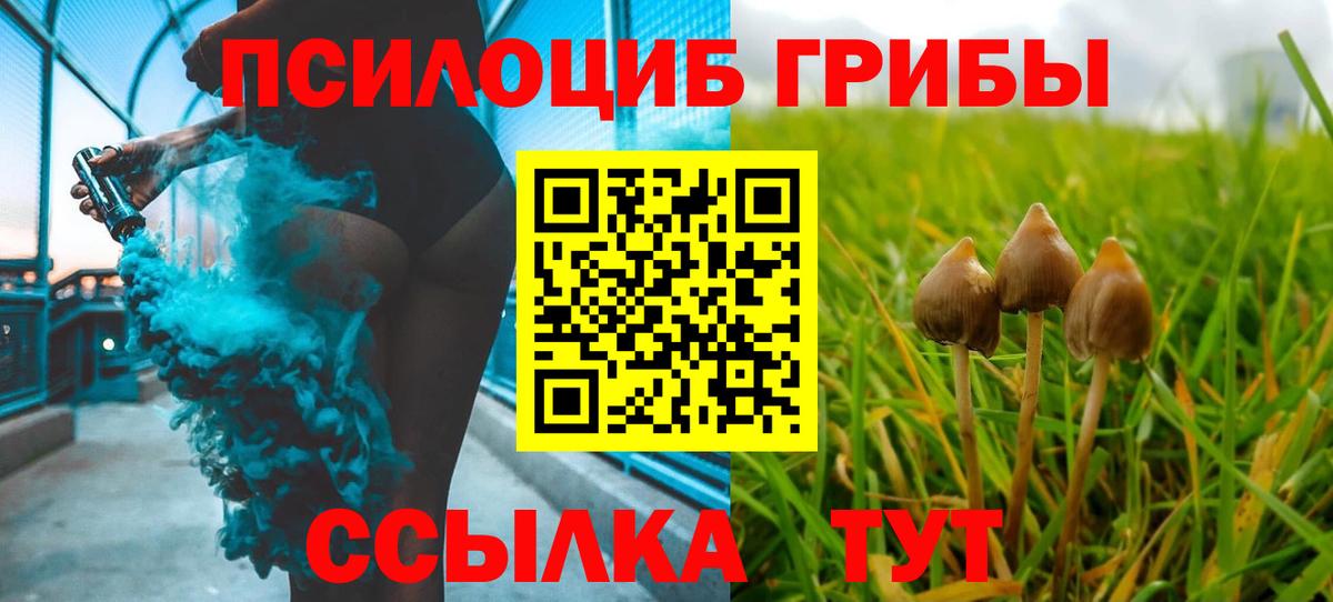 Галлюциногенные грибы мицелий  Вход с VPN  Симферополь  Галлюциногенные грибы мицелий 